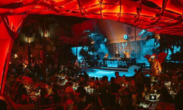 Palmora Saigon — Nhà hàng & Giải trí nhiệt đới tại Quận 1, ảnh 7